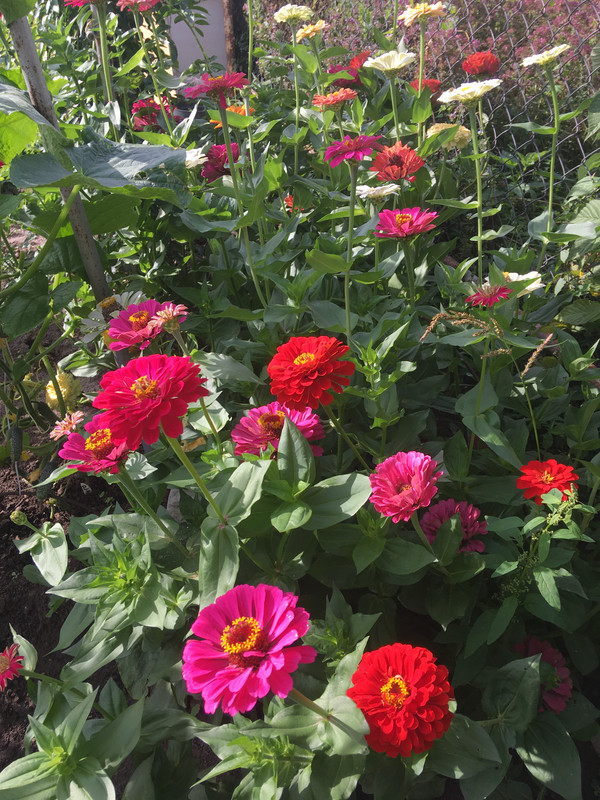 E2096801-547F-4FDE-A6BA-44C14FF931F8