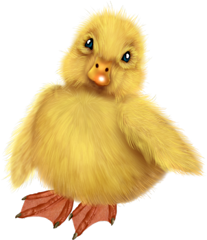 0_1c00db_2c45bed1_orig