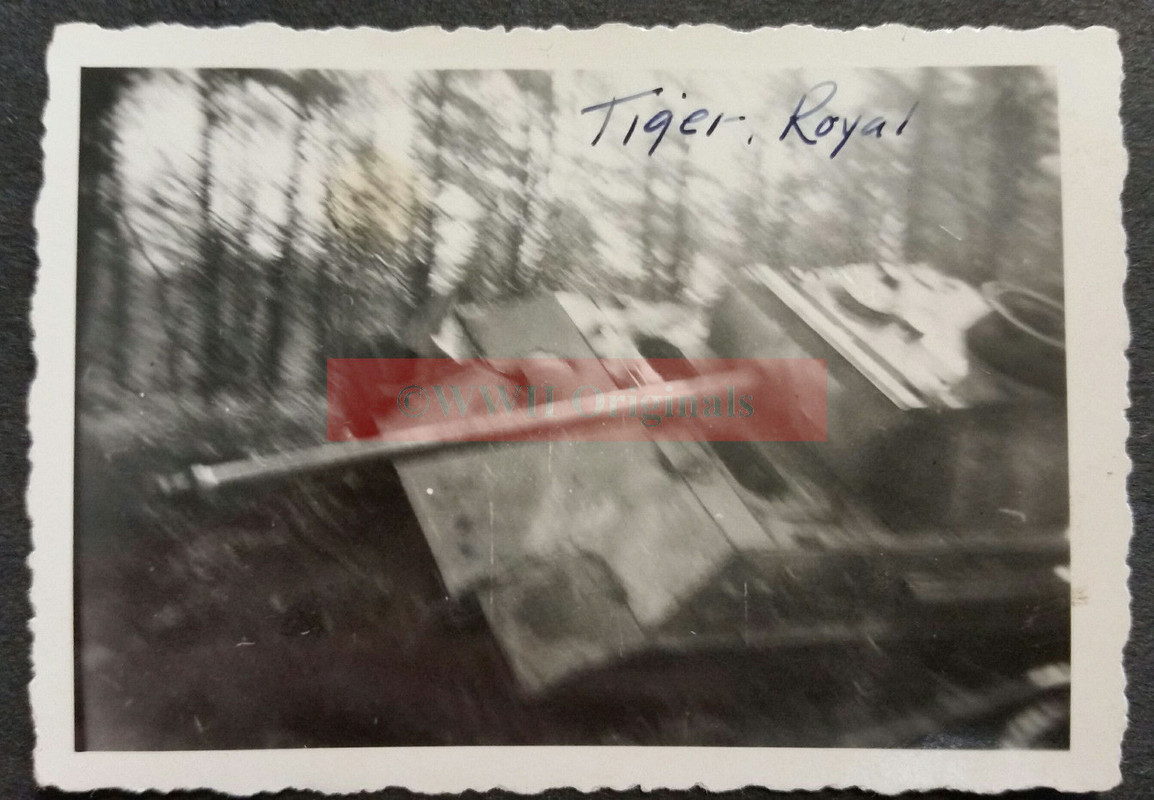 PHOTO Captured German Panther Tank Near Zülpich 