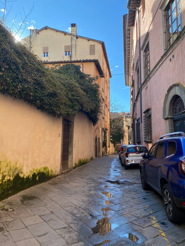 photo 2026 02 15 16 20 39