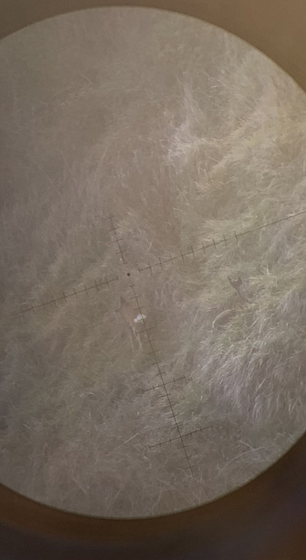 7FFFCED4-612C-4AF7-9AD8-A547742F206F