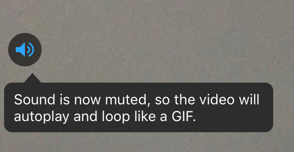 FF4EE905-696F-4DCA-83DE-D9E9ACE8028E