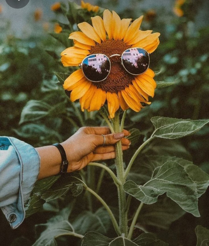 Screenshot_20240402_230449_Pinterest