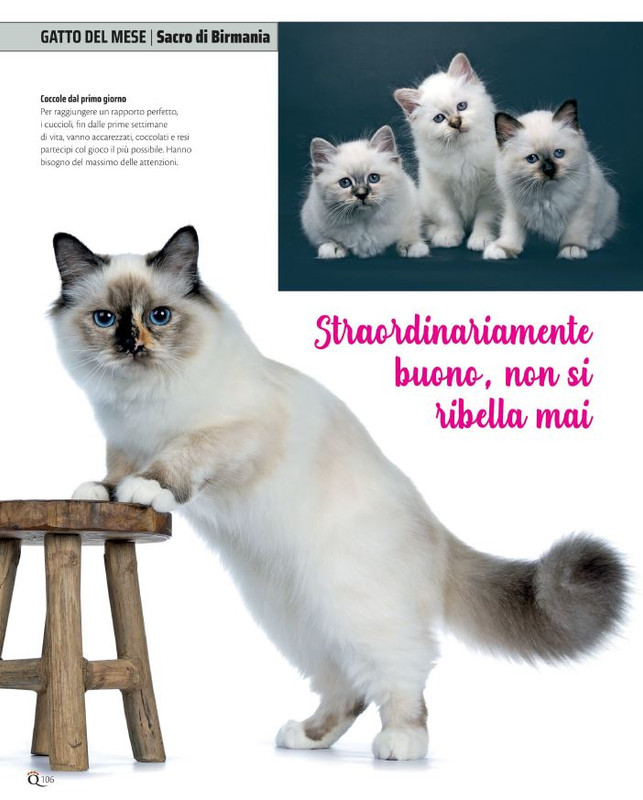 QuattroZampe Ago 2021 (9)