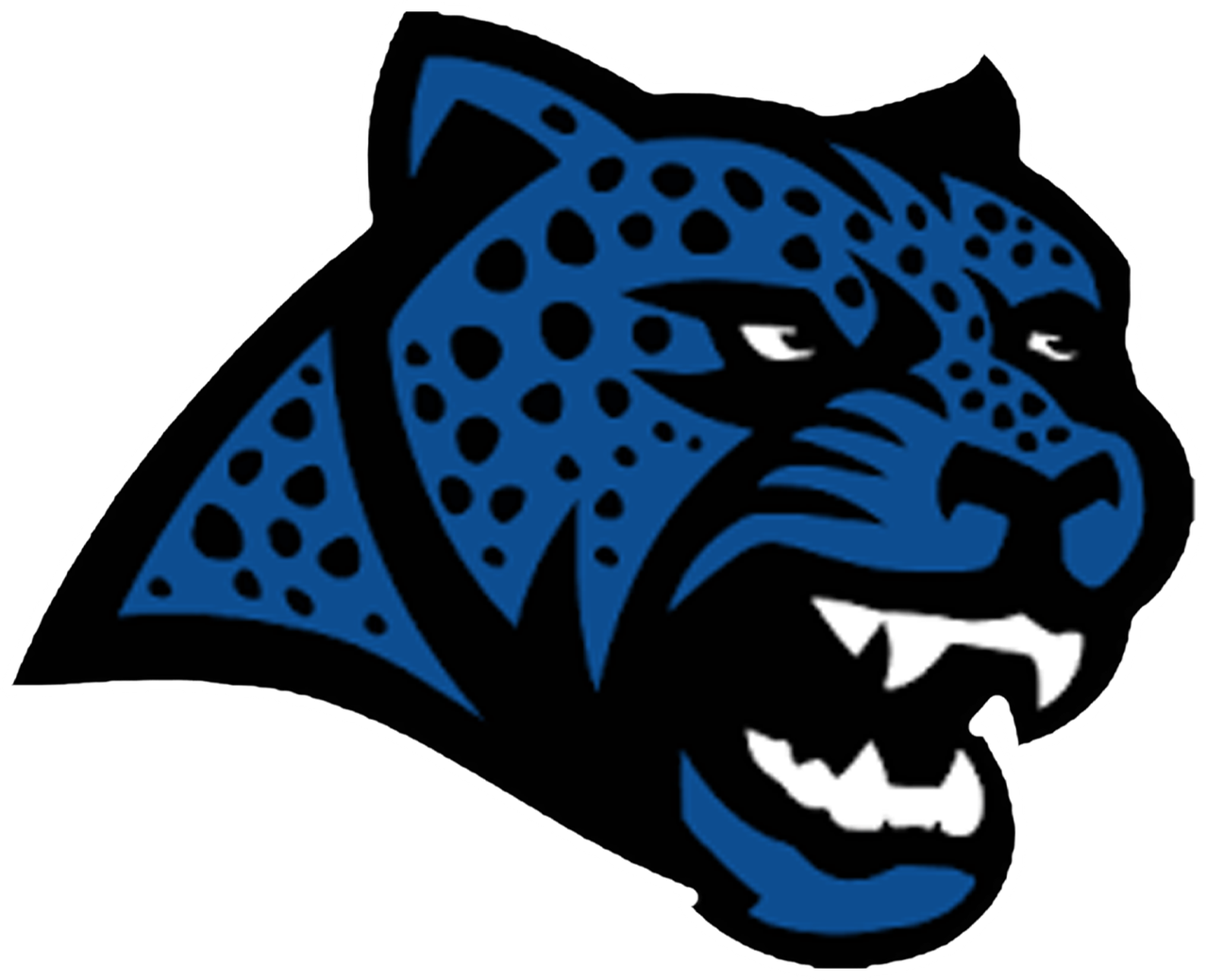 Canyon View Logo