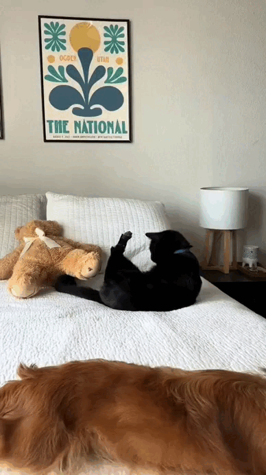 1760911622727539.gif