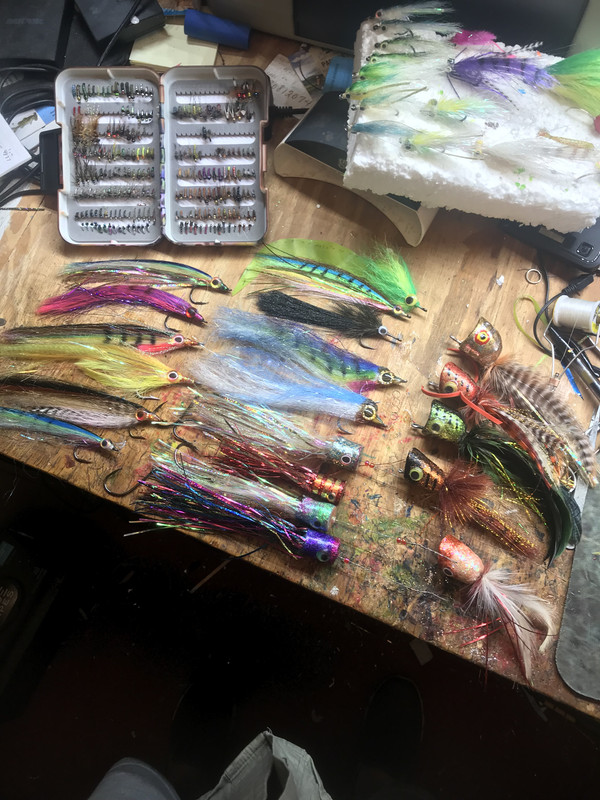 7E83756C-75DF-4058-9096-E46DF386A702