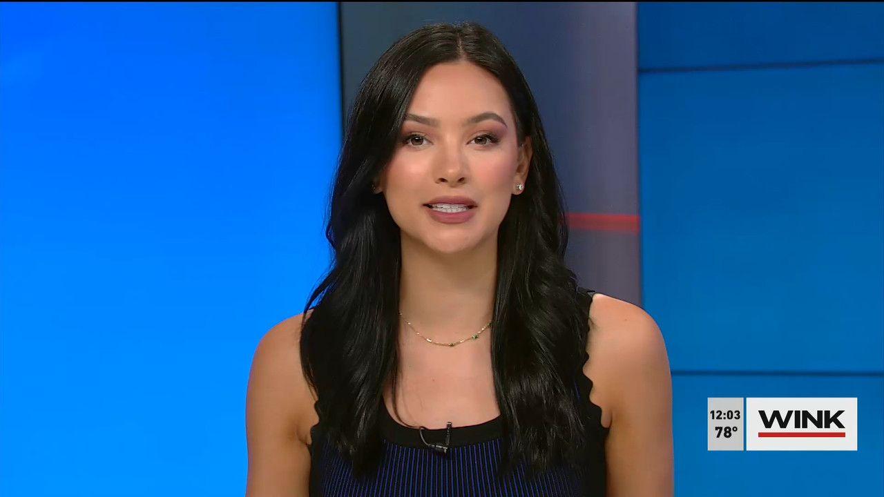 04.17 - 17.00.00 - The WINK Noon News  ᴺᵉʷ. Midday news update..ts_snapshot_10.10.956