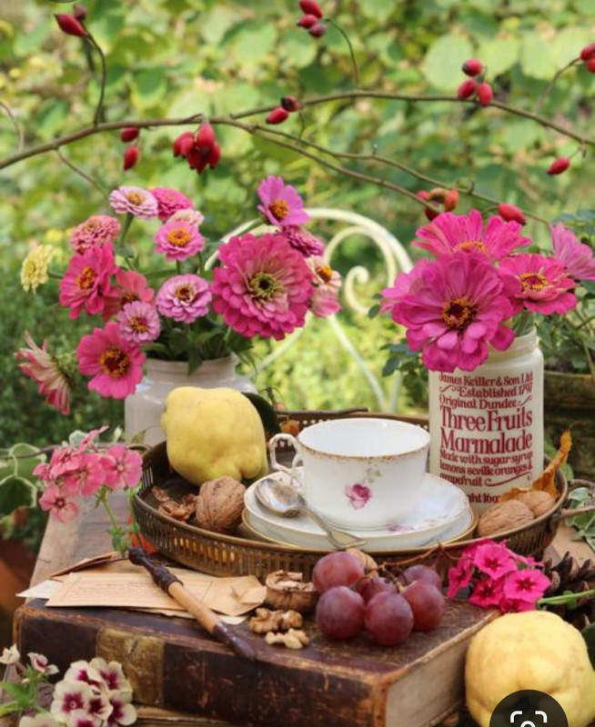 Screenshot_20230409_211224_Pinterest