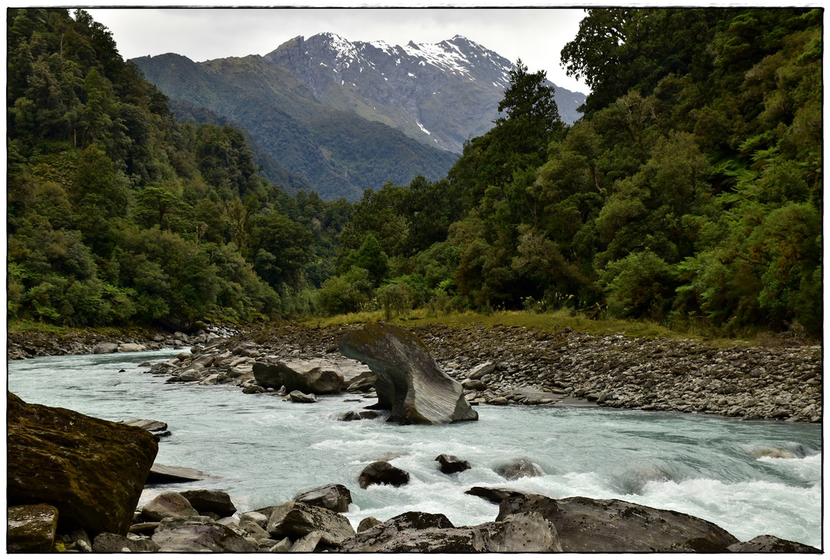 West Coast: Copland Track (diciembre 2021) - Escapadas y rutas por la Nueva Zelanda menos conocida (28)