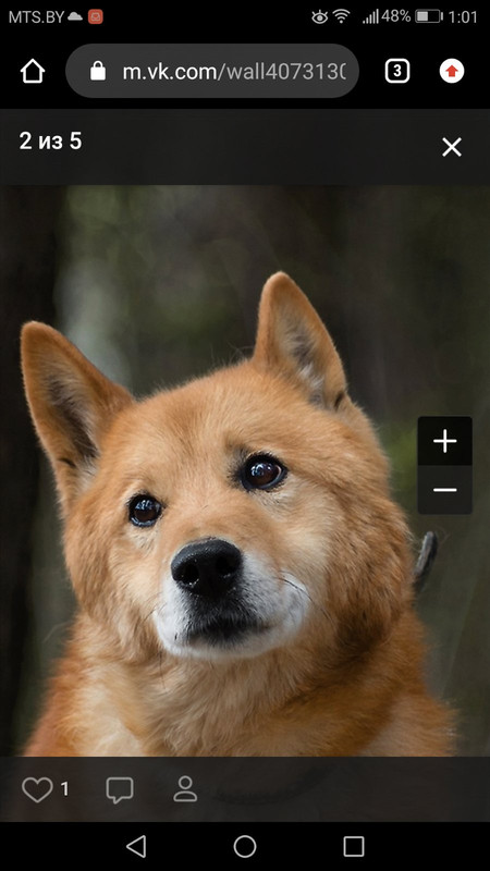 изображение_viber_2020-05-28_01-01-5555