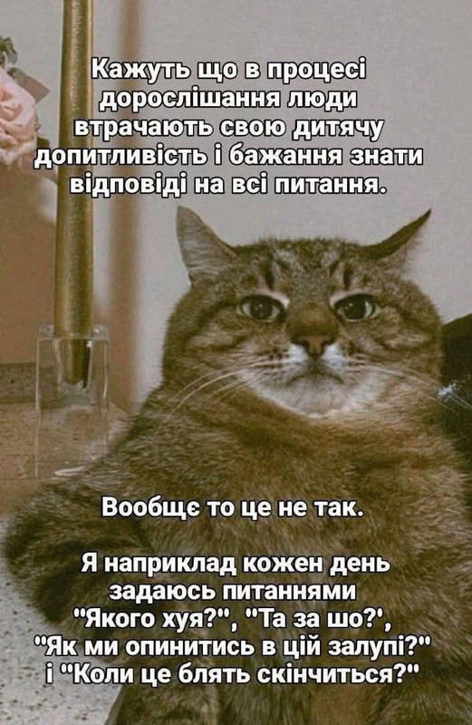 493479654-1317782626518092-6807173634596