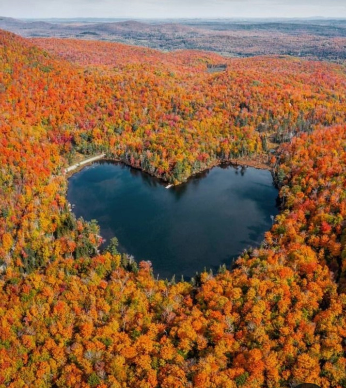 Screenshot_20240210_222144_Pinterest