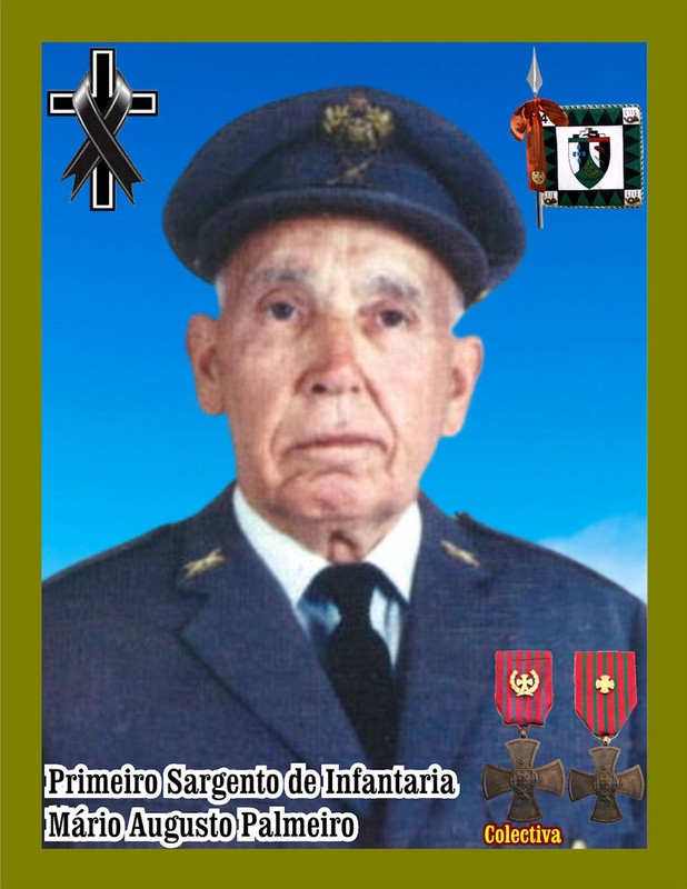 Mário Augusto Palmeiro_920