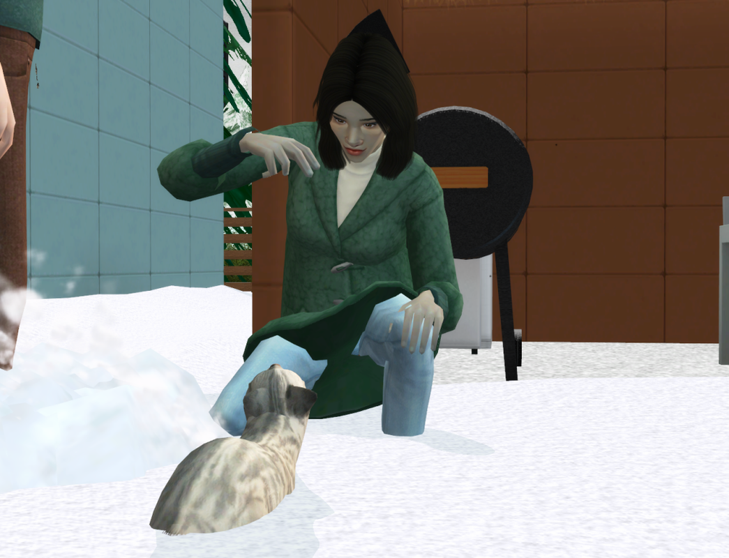 Sims2-EP9-RPC-2022-10-25-22-54-30-08