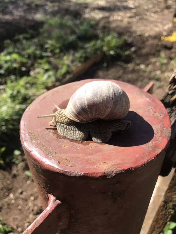 DBEFE5B3-1A6E-4393-B3D4-4436F7A31C39