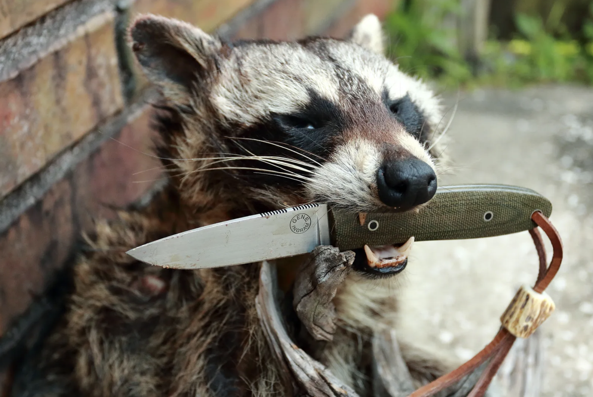 Screen Shot 2025-07-22 at 5.05.42 PM