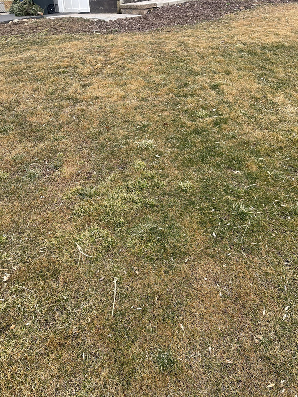 362A3240-BBBA-4CEC-B5D8-815F4A117D8A