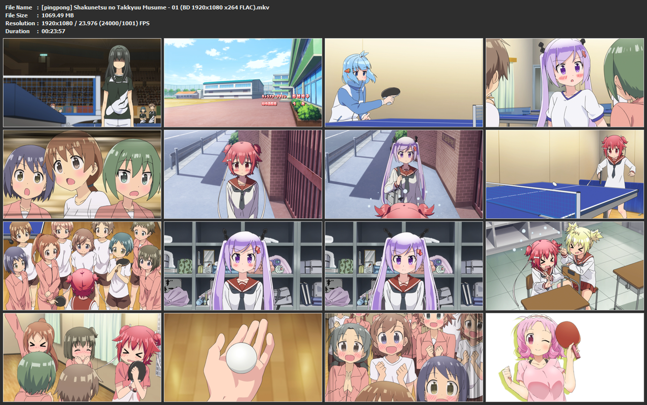 Assistir Shakunetsu no Takkyuu Musume Episodio 12 Online