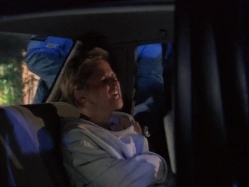 Silk Stalkings S04E05 5