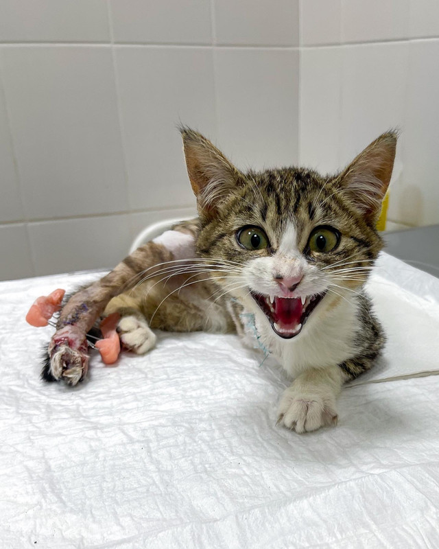 5C99242B-0344-4A02-9F70-F13239FA4012