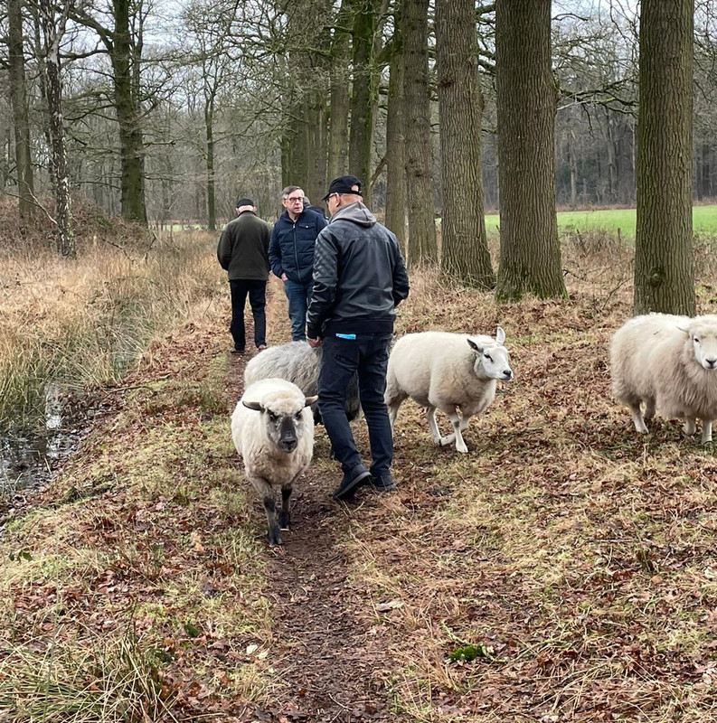 natuurlijk wandelen