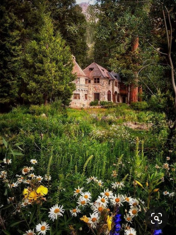 Screenshot_20230928_182917_Pinterest