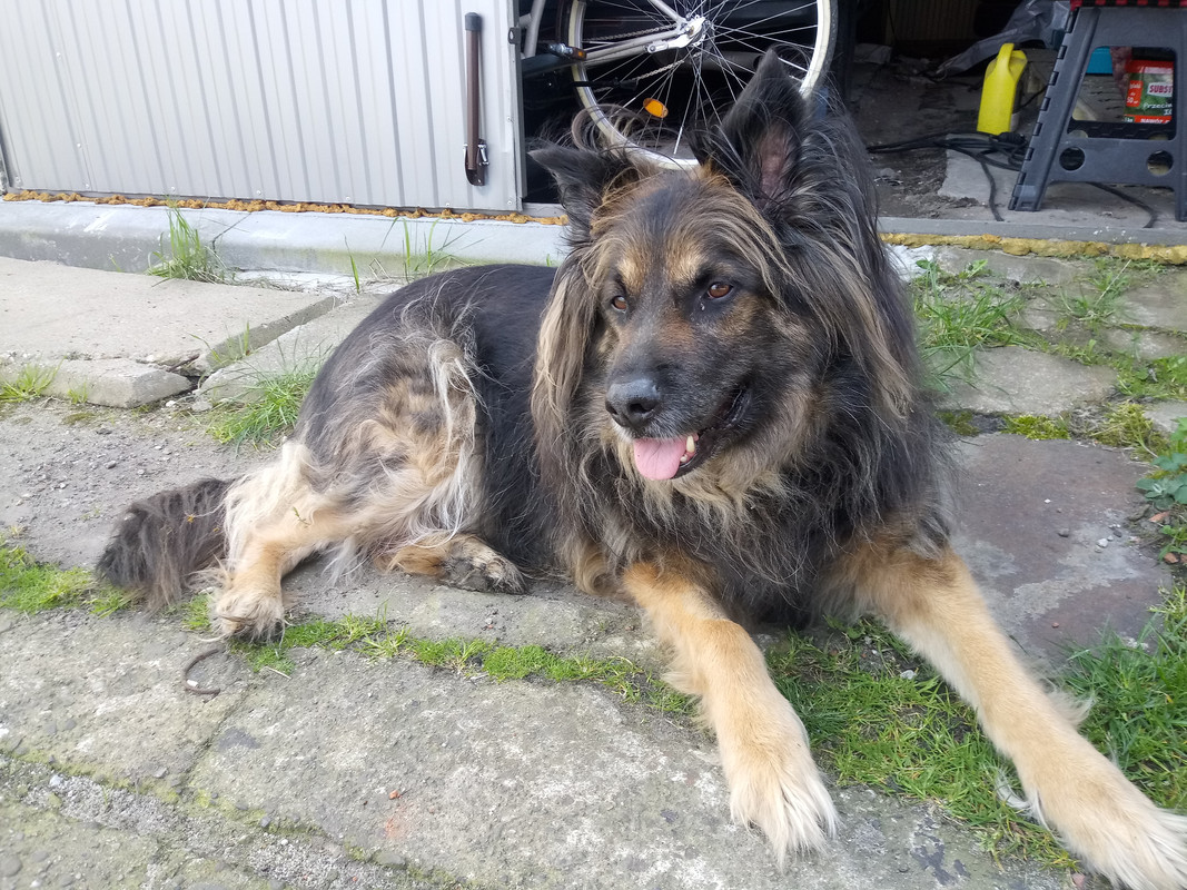 [Obrazek: 20240407-102514-1.jpg]