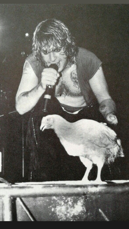 ozzy-chicken.jpg
