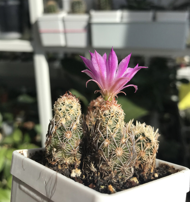 9BEB744F-950E-4E6A-A256-5AD663215317