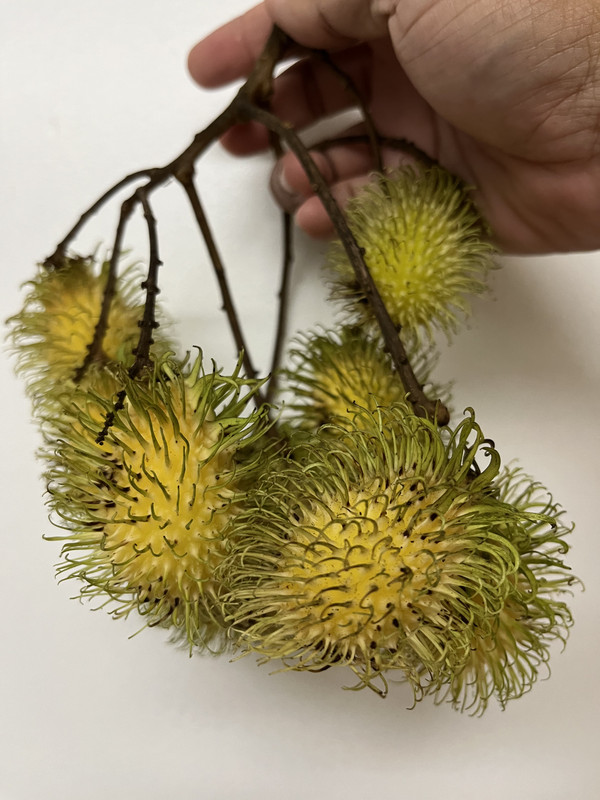 A57AE040-494D-4457-AC46-E4F853A0E71E