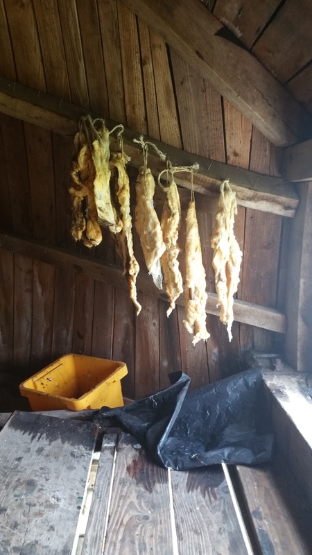 0249 GL (03124) Aurora - Dichteren 32