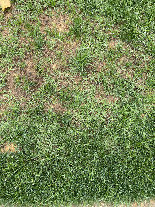 A53CEB2D-B81E-4C4F-964A-66798B0E4DF6