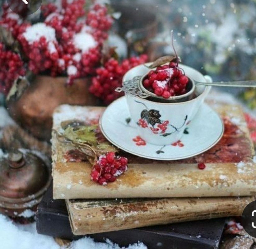 Screenshot_20240104_220628_Pinterest