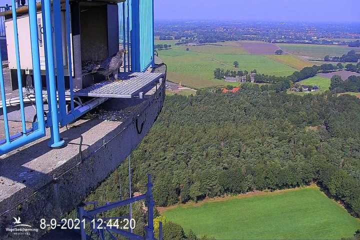 campics vanaf 1 juli © VWGGemert en bonusjes van ter plekke - Pagina 25 V5