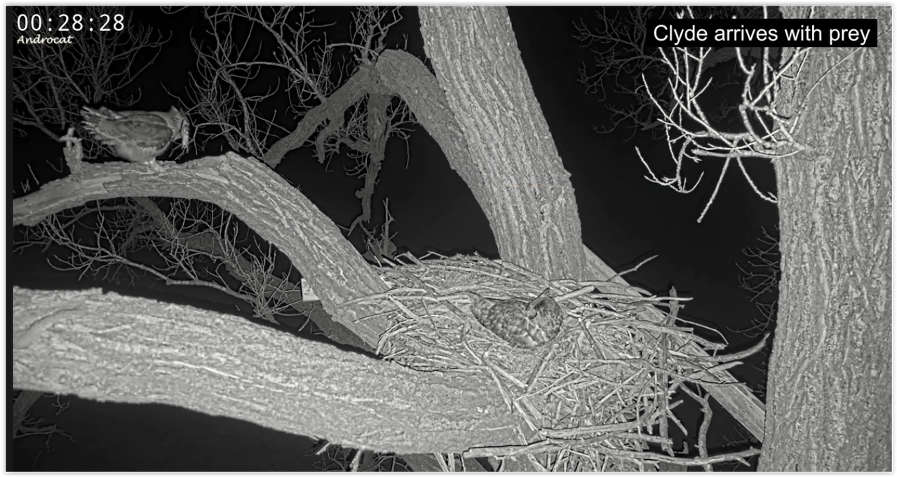 Screen Shot 01 11 26 at 09 59 AM