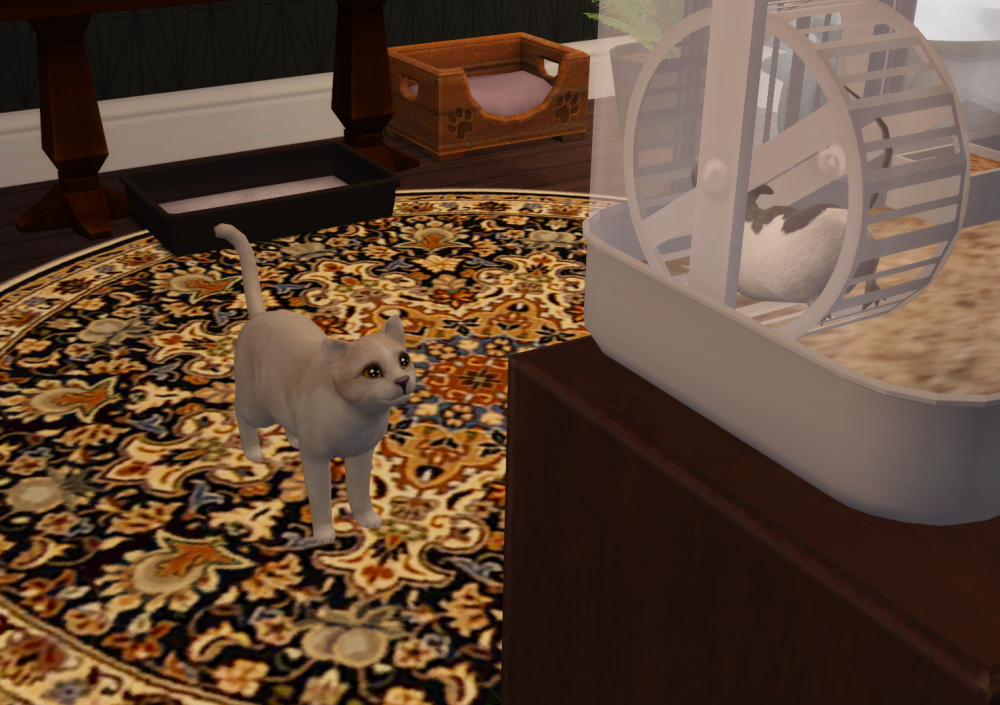 Sims2-EP9-RPC-2022-04-09-17-11-44-53