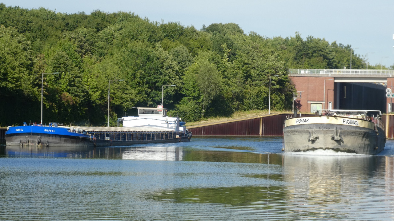 2022.07.18a Überholmanöver Fiomar die Büffel