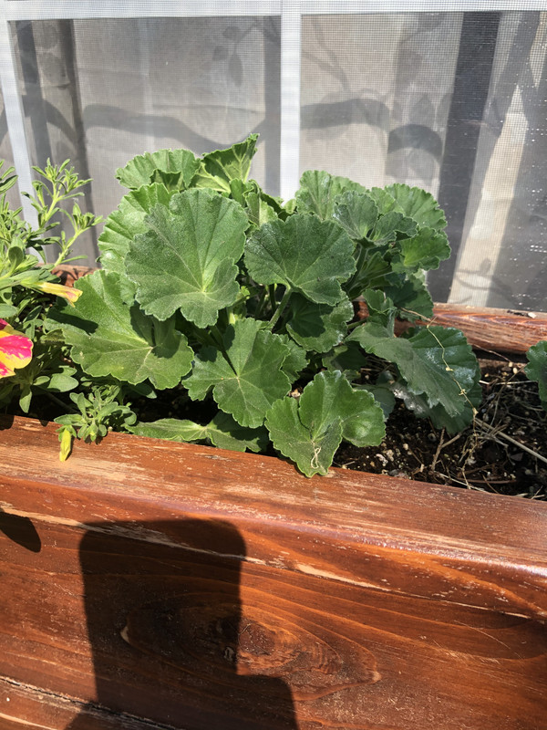 6B17E842-DDAD-46A8-AF19-C859156E95E1