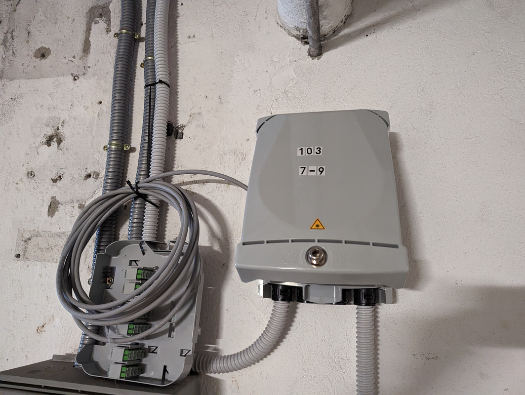 PXL_20230326_072053802