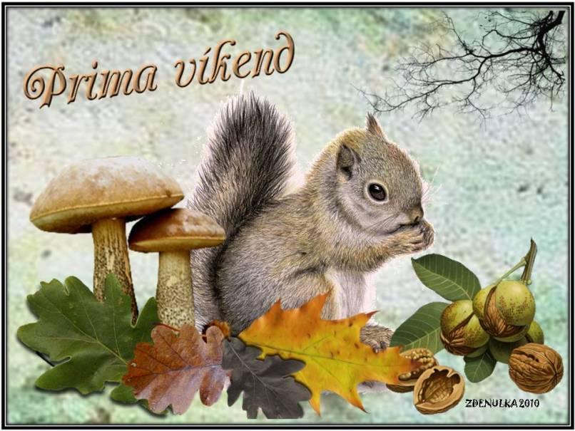 vikend-s-veverkou
