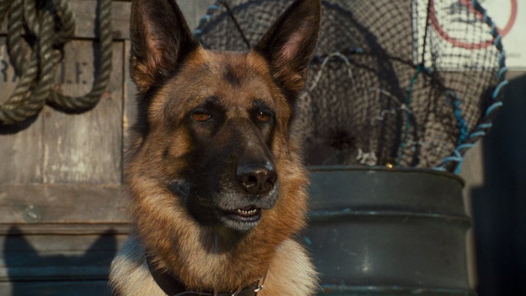 vlcsnap-2024-08-29-10h51m51s772