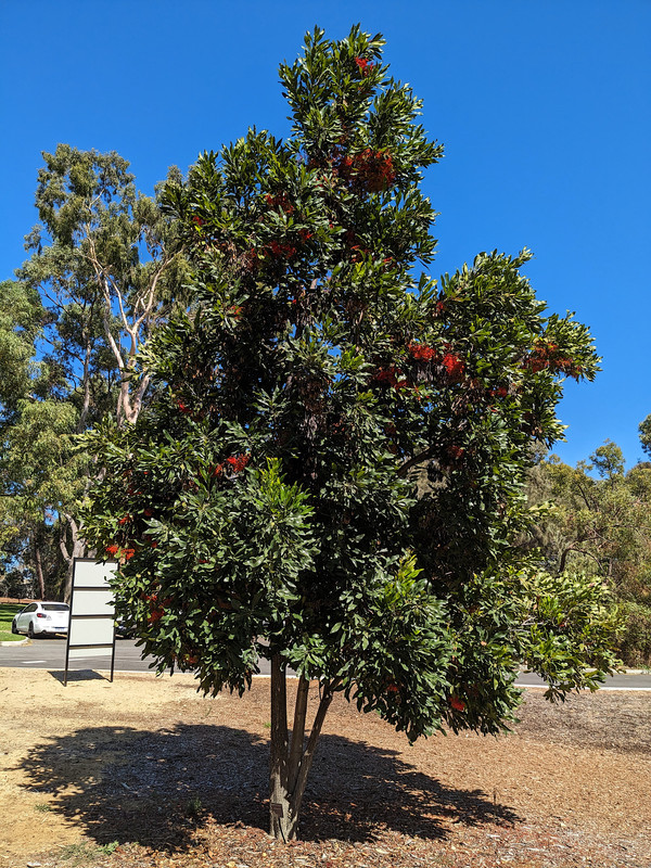 PXL_20240311_022820571