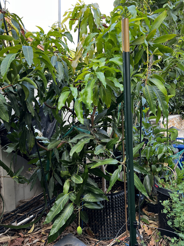 67A9B79B-EF8D-4153-86AE-F2D4F757A72B