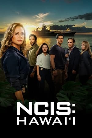 NCIS Hawaii S02E12 XviD-AFG