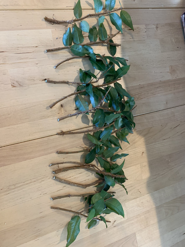 4DA952E4-F9A0-4A95-AB71-6D7D52FBEC49