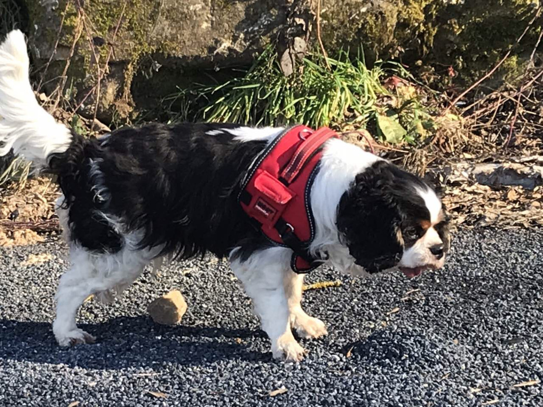 EC22FACD-7F07-4005-86D0-C291121981B9