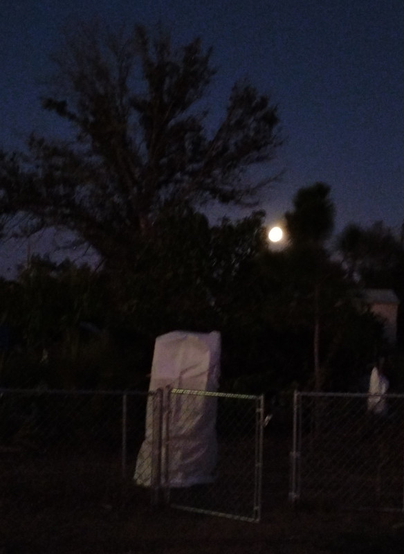 IMG 20260201 183831962 2