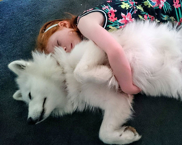 mans-best-friend-12