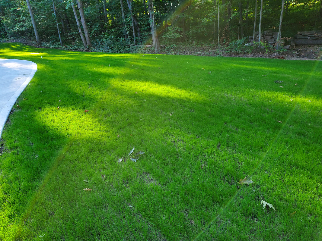 F4525547-3CD2-4B42-9319-64DD427740A1